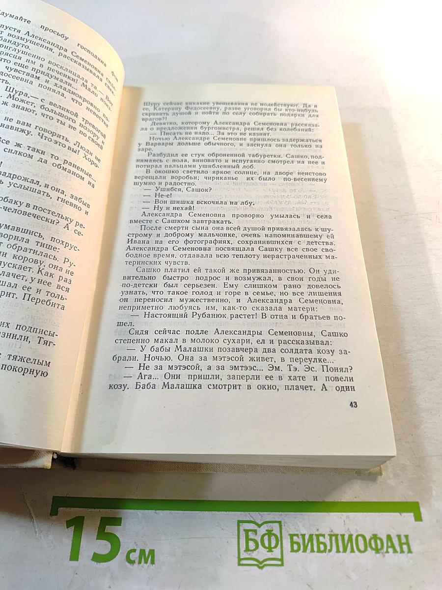 Семья Рубанюк. Роман в двух книгах. Книга вторая