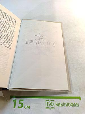 Семья Рубанюк. Роман в двух книгах. Книга вторая