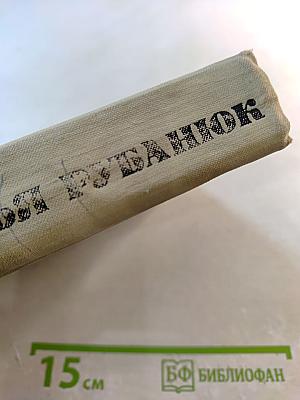 Семья Рубанюк. Роман в двух книгах. Книга вторая