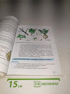 Биология. Многообразие покрытосеменных растений для 6 класса