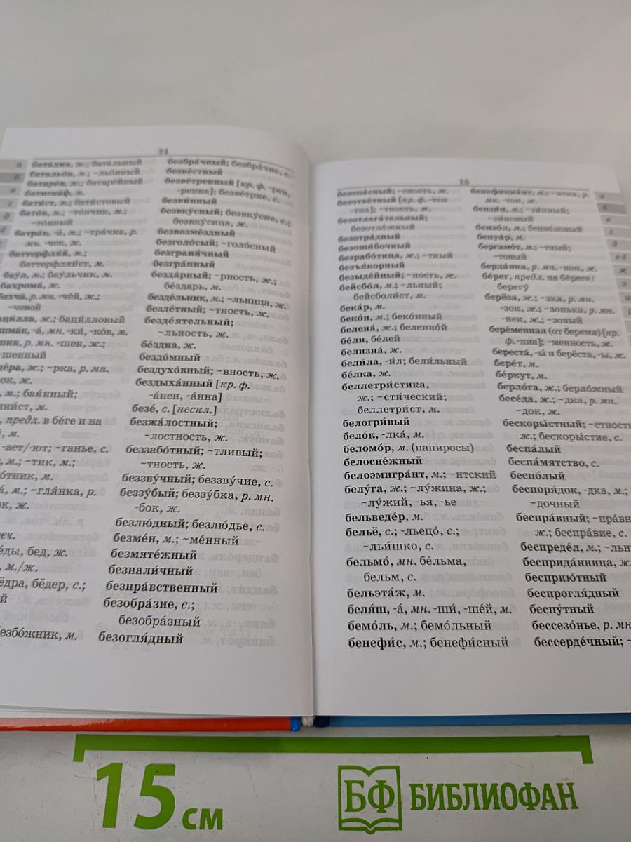 Школьный орфографический словарь русского языка