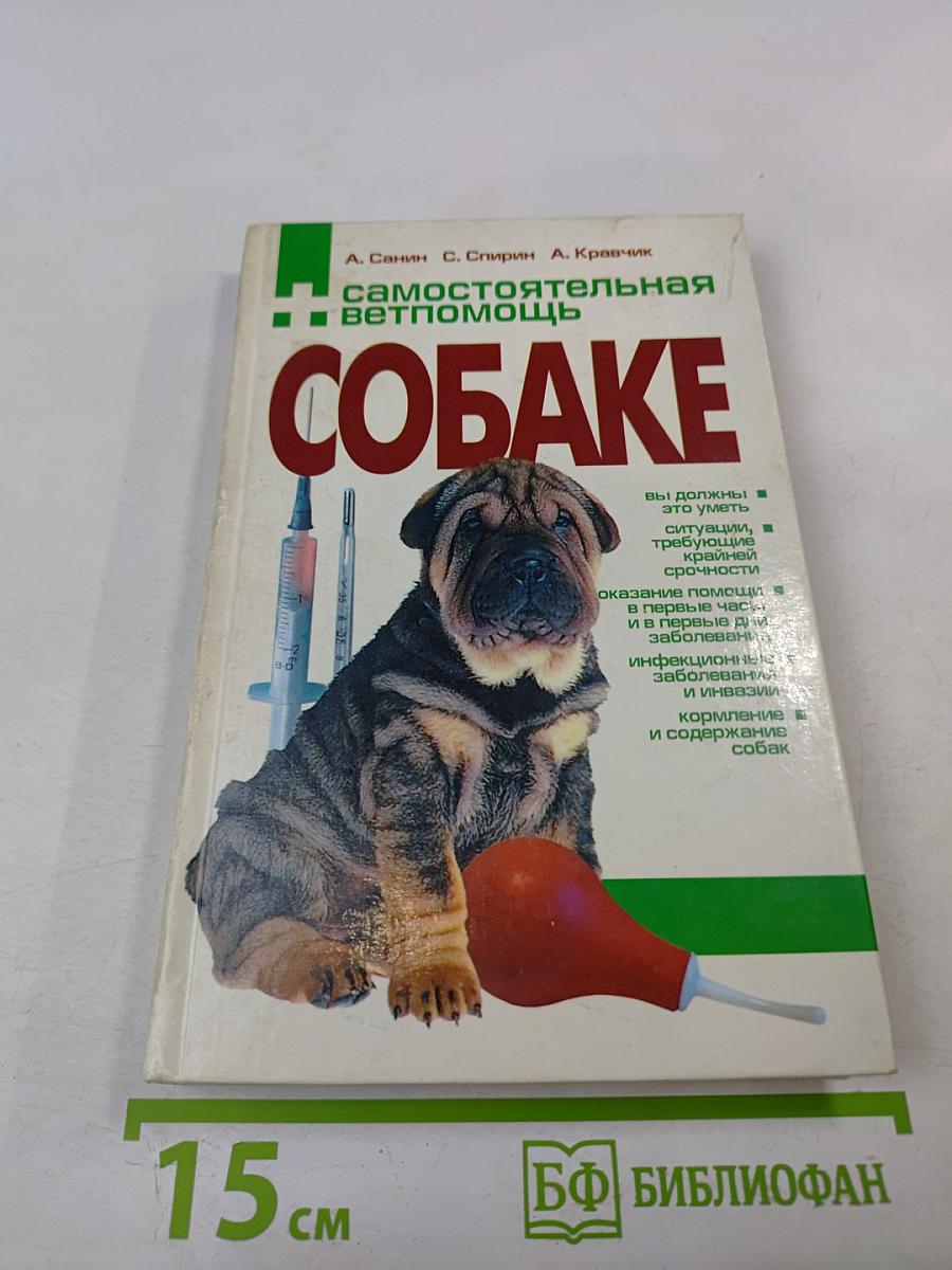 Самостоятельная ветпомощь собаке