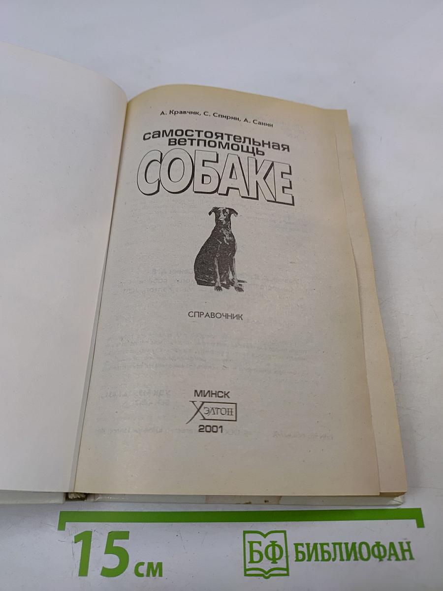 Самостоятельная ветпомощь собаке