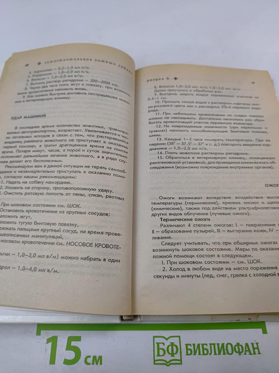 Самостоятельная ветпомощь собаке