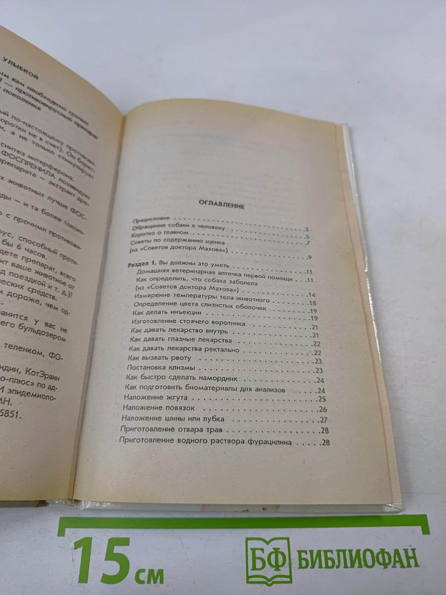 Самостоятельная ветпомощь собаке