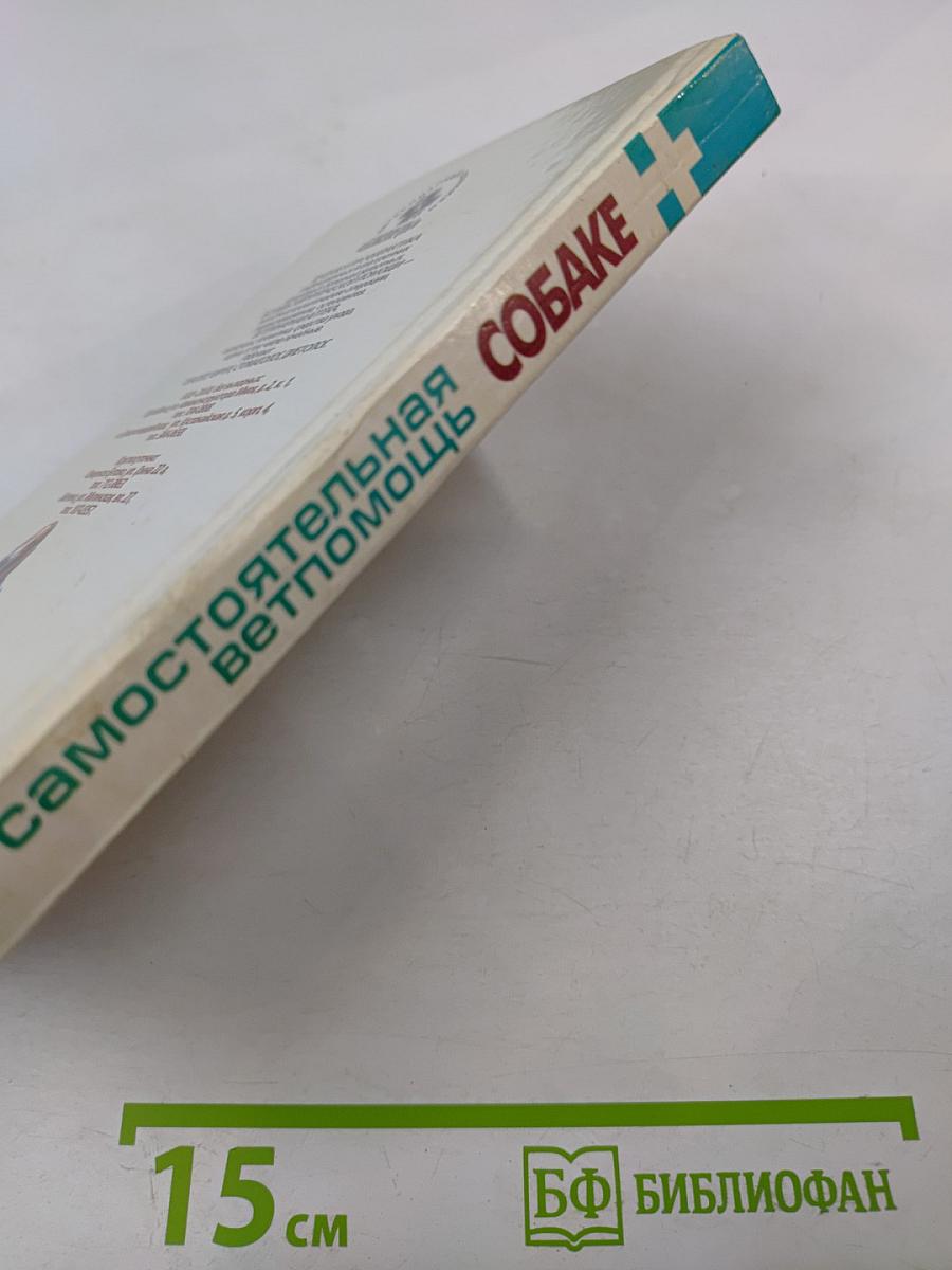 Самостоятельная ветпомощь собаке