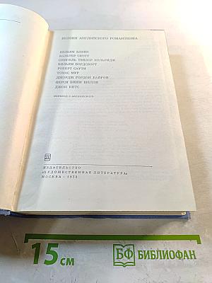 Поэзия английского романтизма