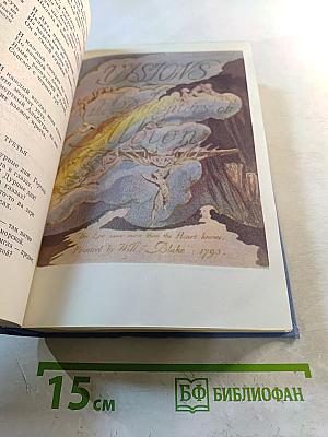 Поэзия английского романтизма