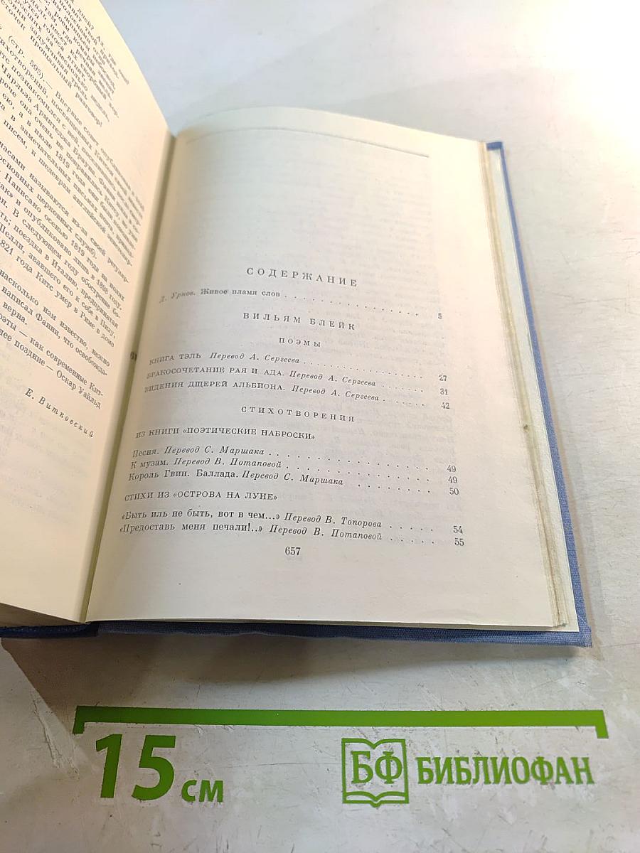 Поэзия английского романтизма