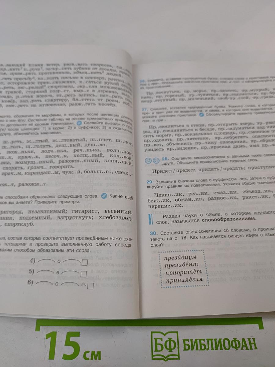 Русский язык. 8 класс