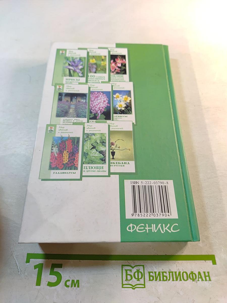 Теневыносливые декоративные растения в саду и в доме