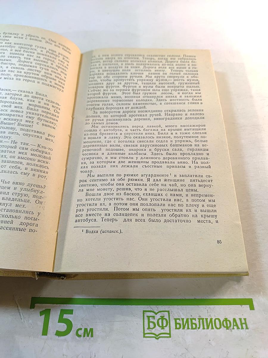 За рекой, в тени деревьев