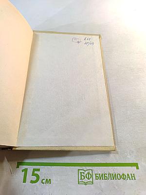 За рекой, в тени деревьев