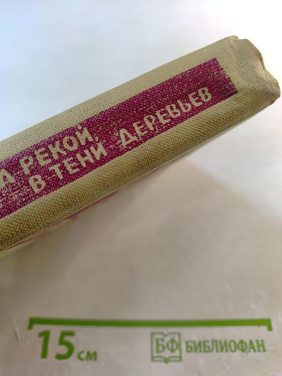 За рекой, в тени деревьев