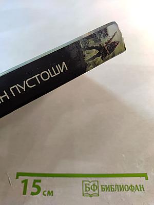 Воин Пустоши