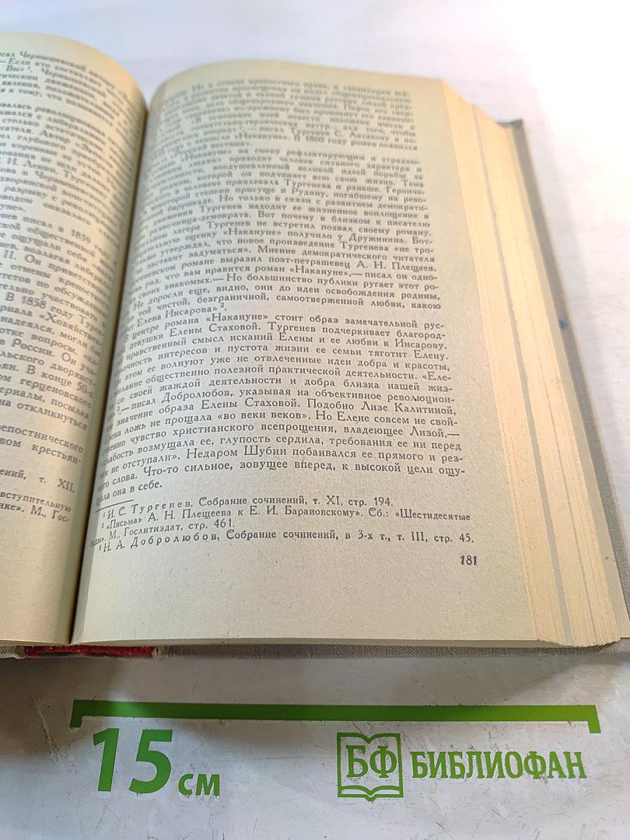 История русской литературы XIX века (Вторая половина)