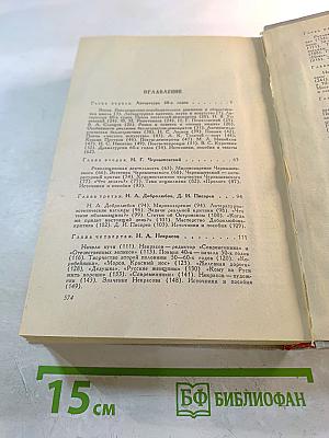 История русской литературы XIX века (Вторая половина)