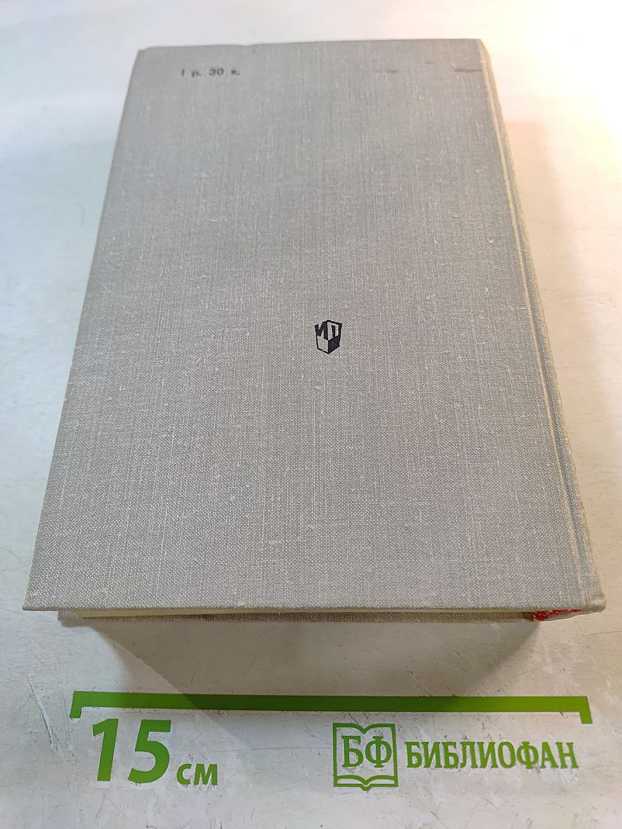 История русской литературы XIX века (Вторая половина)