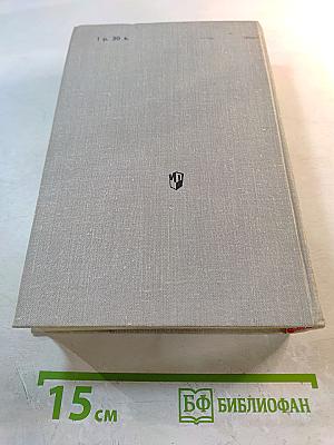 История русской литературы XIX века (Вторая половина)