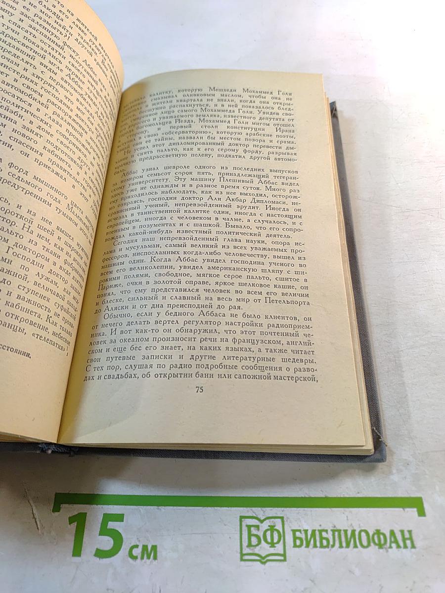 На полпути в РАЙ