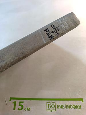 На полпути в РАЙ