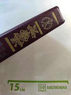 Русская бытовая сказка