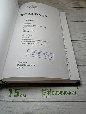 Литература, 11 класс, Часть I