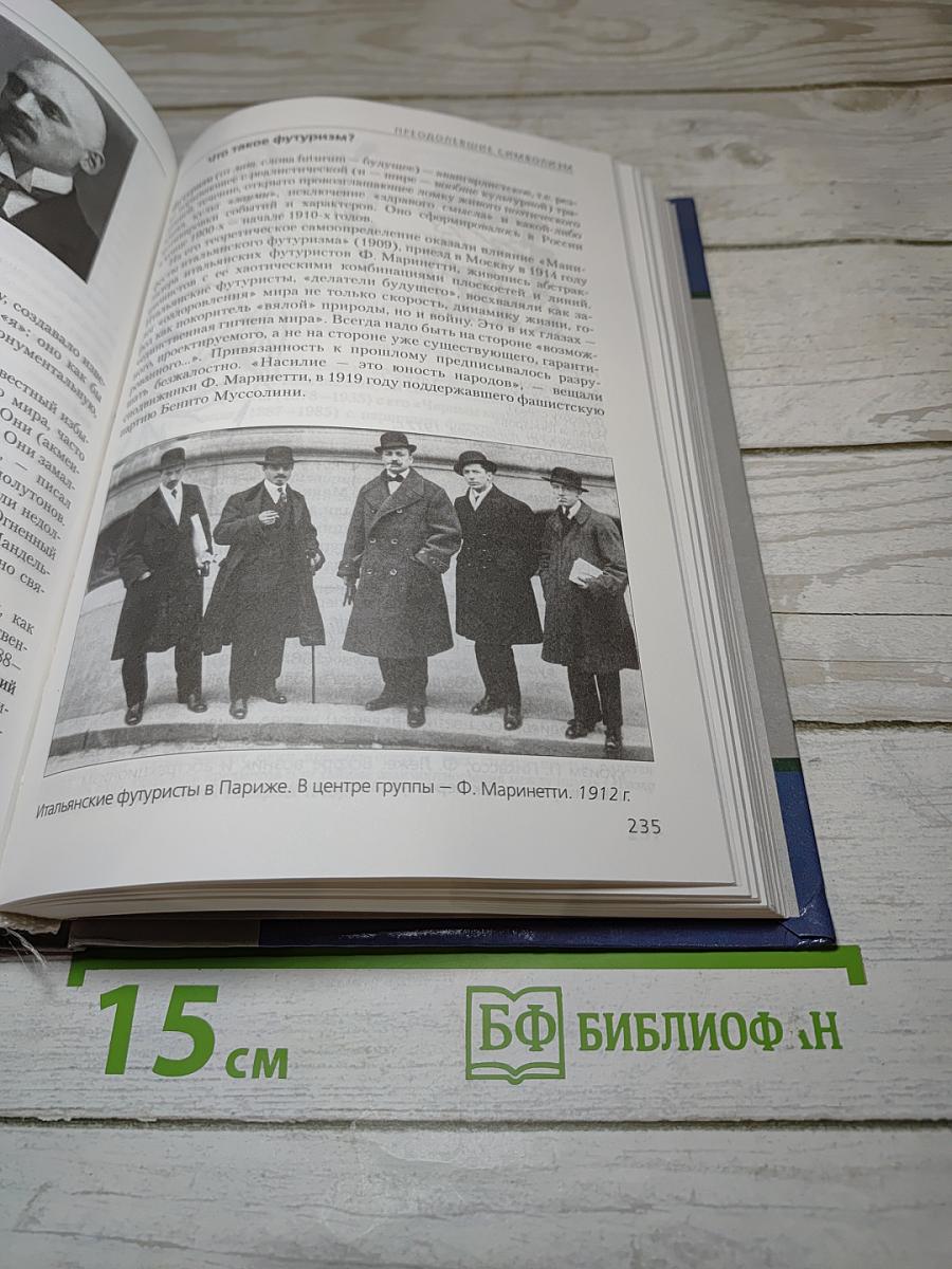 Литература, 11 класс, Часть I