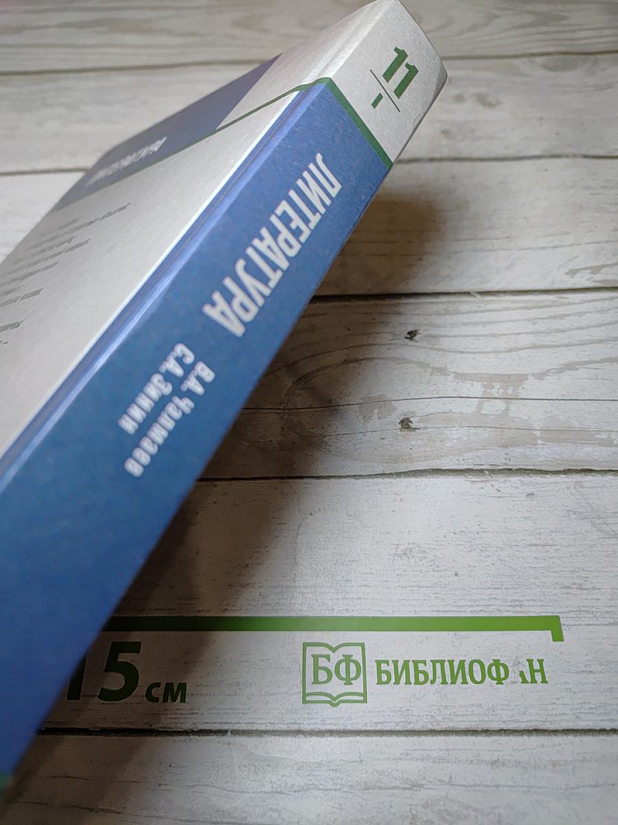 Литература, 11 класс, Часть I