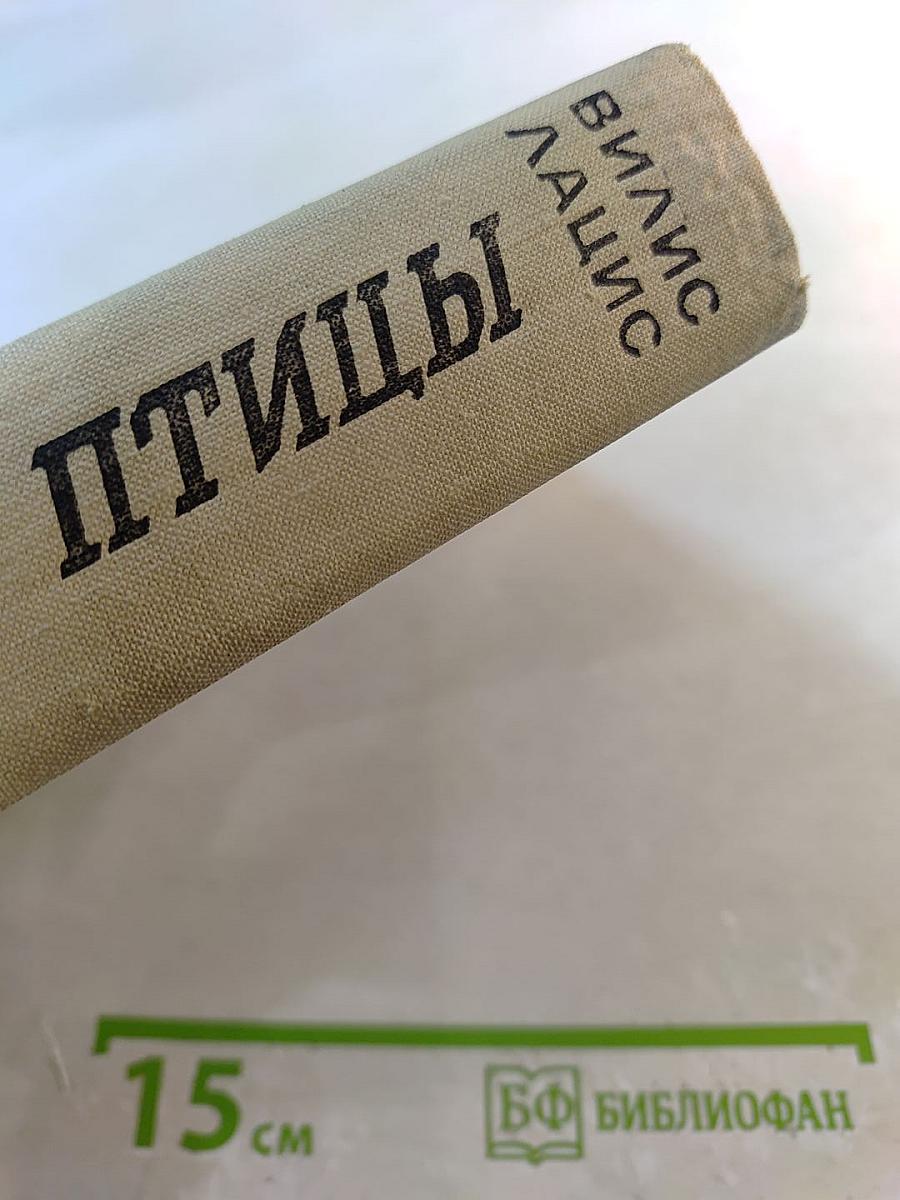 Бескрылые птицы