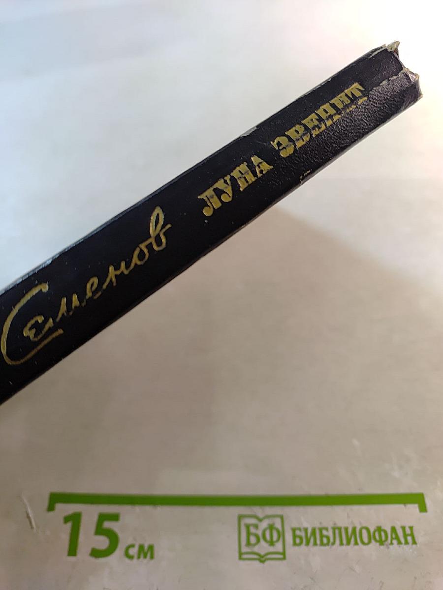 Луна Звенит