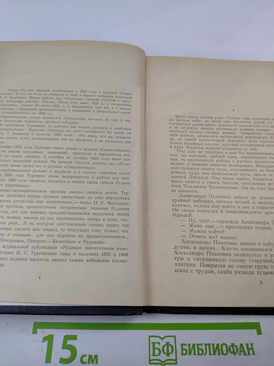Рудин. Дворянское гнездо