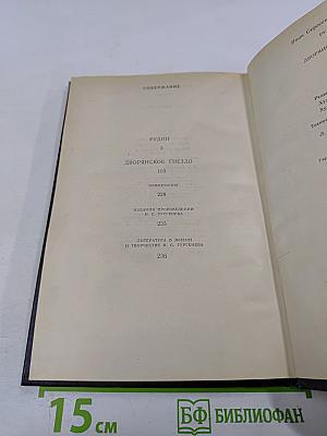 Рудин. Дворянское гнездо