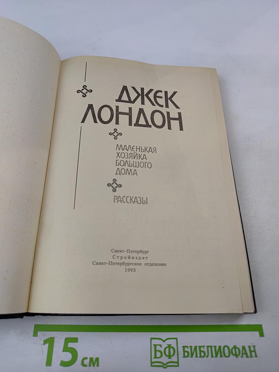 Маленькая хозяйка большого дома. Рассказы
