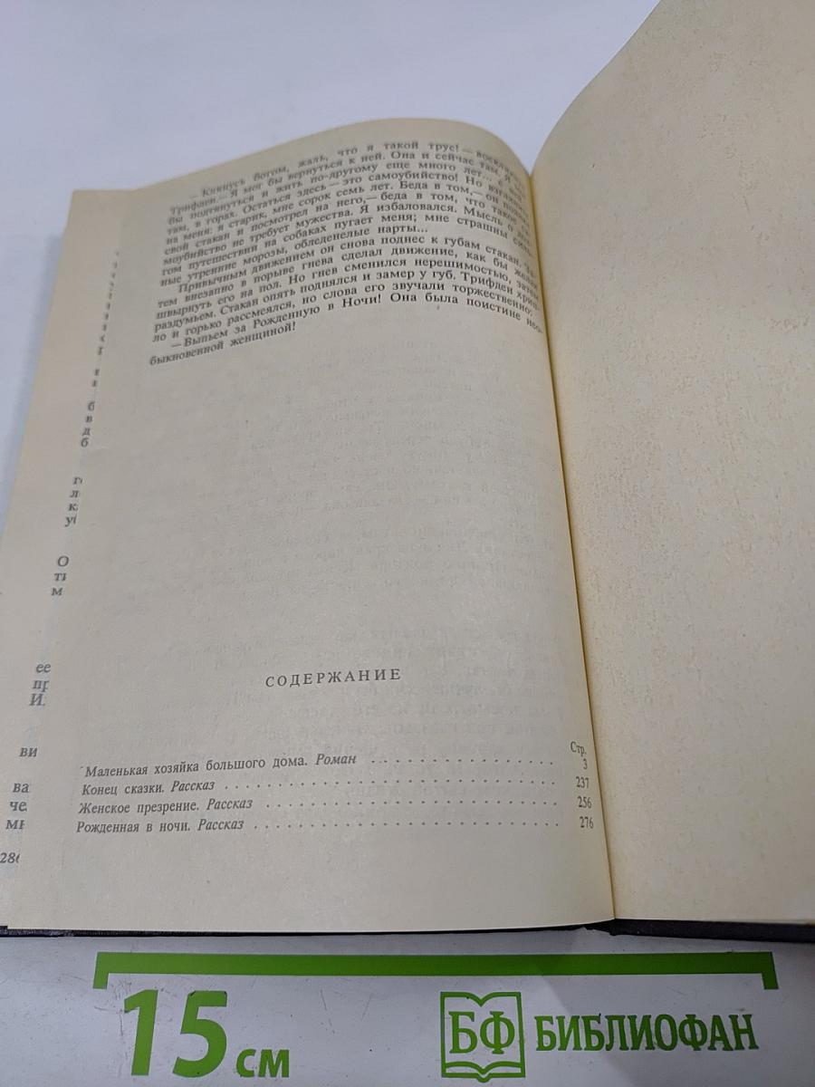 Маленькая хозяйка большого дома. Рассказы