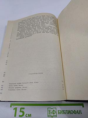 Маленькая хозяйка большого дома. Рассказы