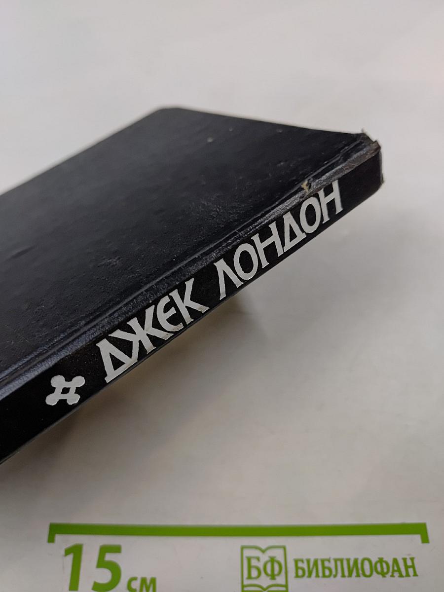 Маленькая хозяйка большого дома. Рассказы