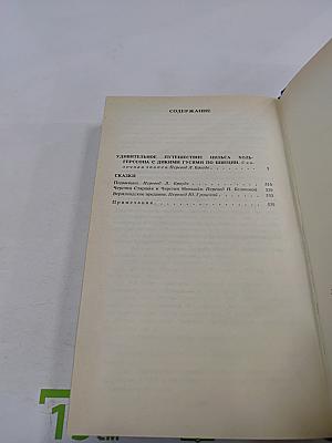 Удивительное путешествие Нильса Хольгерссона с дикими гусями по Швеции. Сказки. Собрание сочинений. Том второй