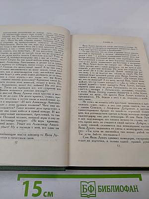 Поднятая целина. Роман в двух книгах (Том 6)