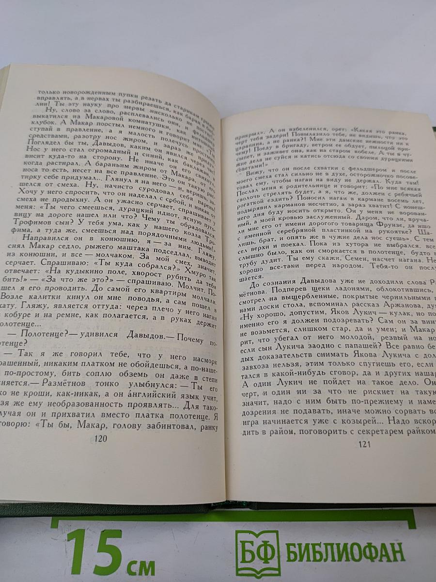 Поднятая целина. Роман в двух книгах (Том 6)