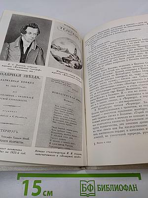 Жизнь и Лира