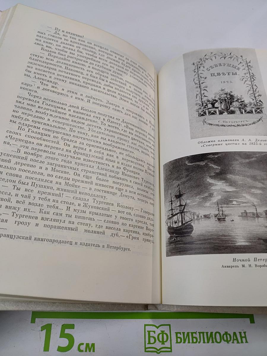 Жизнь и Лира