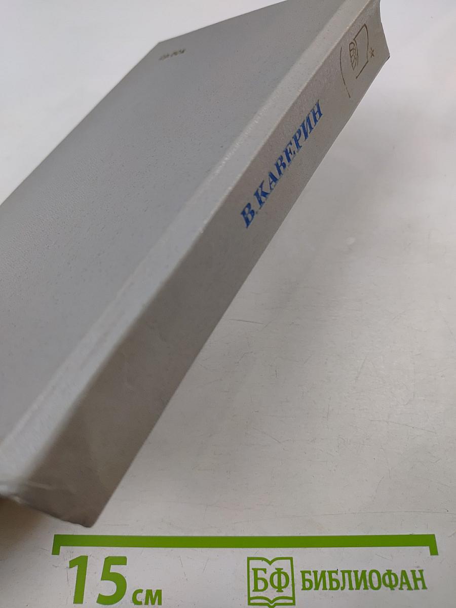 Два капитана