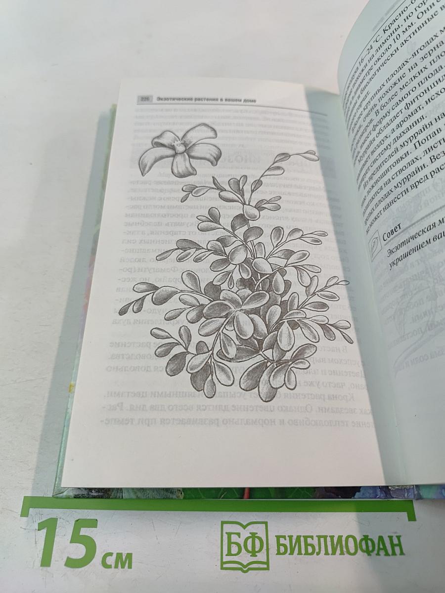 Экзотические растения в вашем доме