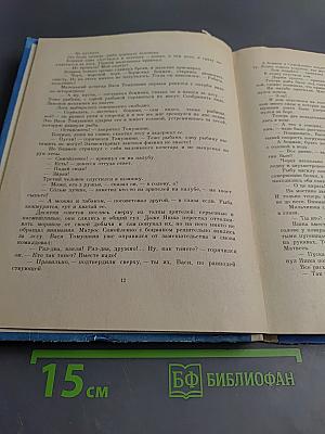 Пассажир дальнего плавания