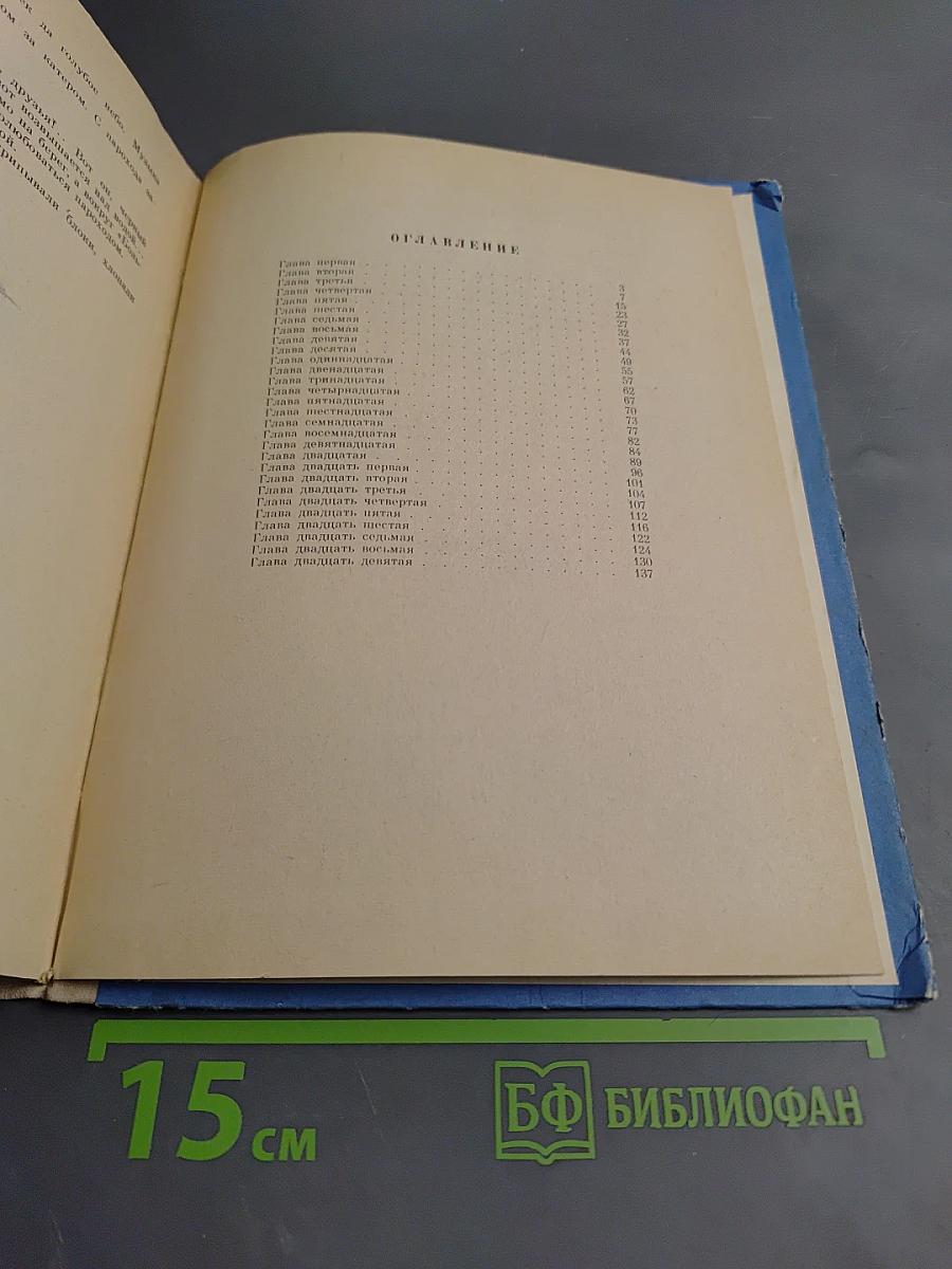 Пассажир дальнего плавания