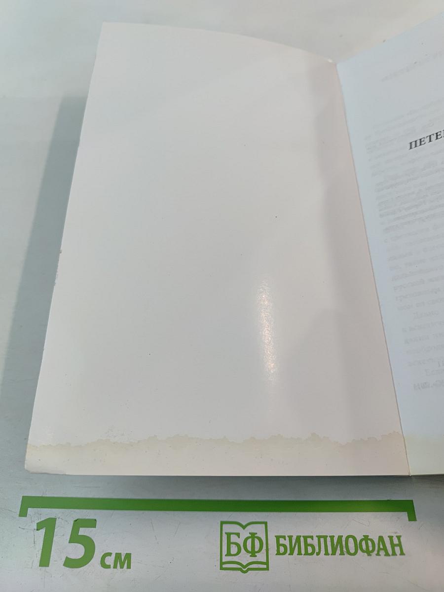 Петербургские строфы