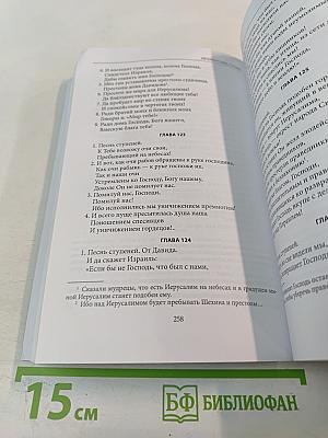 Петербургские строфы