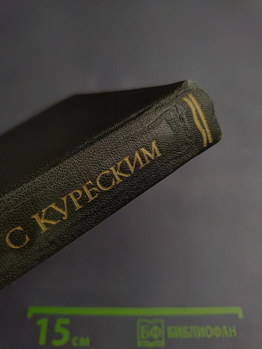 Переписка Ивана Грозного с Андреем Курбским