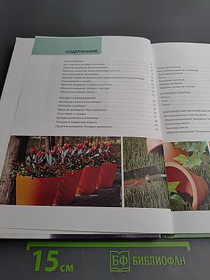 Контейнерные растения